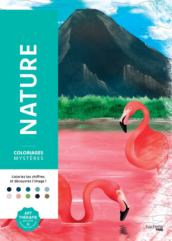 Livres coloriage mystère