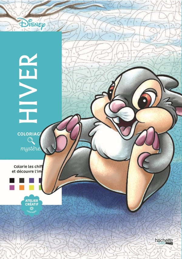 Livres coloriage mystère