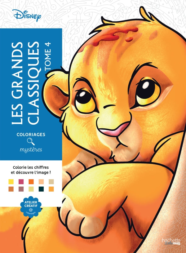 Livres coloriage mystère
