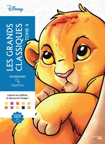 Livres coloriage mystère
