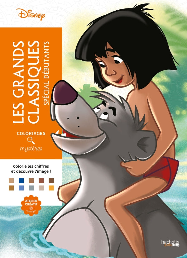 Livres coloriage mystère