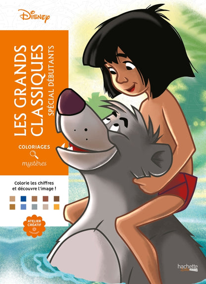 Livres coloriage mystère