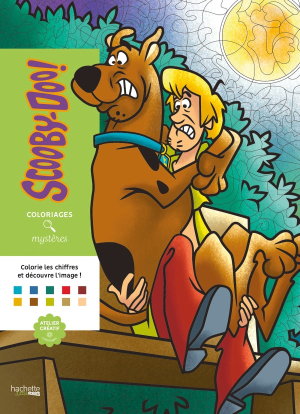 Livres coloriage mystère
