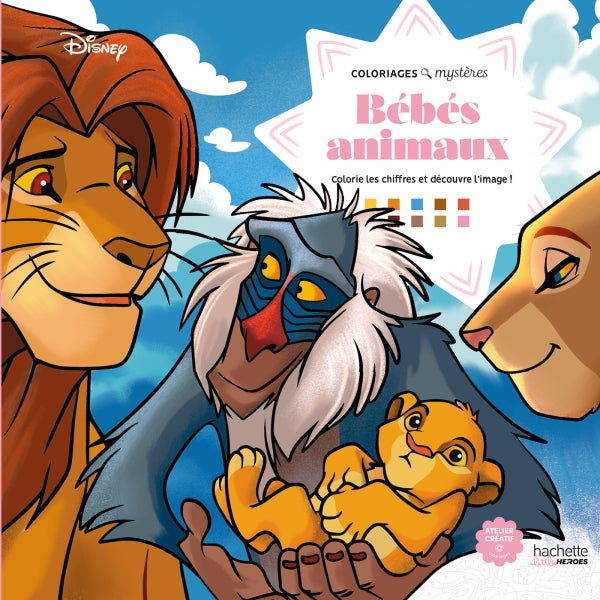 Livres coloriage mystère